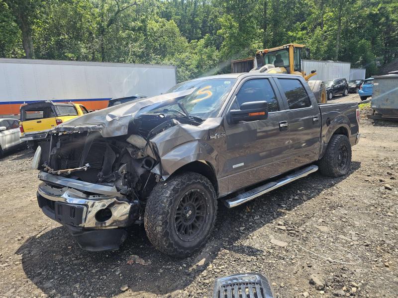 2011 Ford F-150 Rear Seat Belt