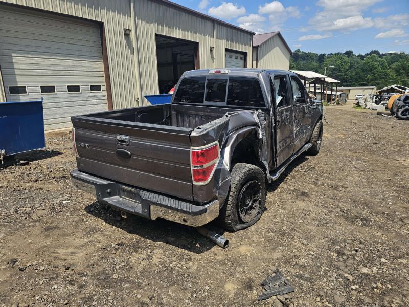 2011 Ford F-150 Side/Rear/Cargo Regulator