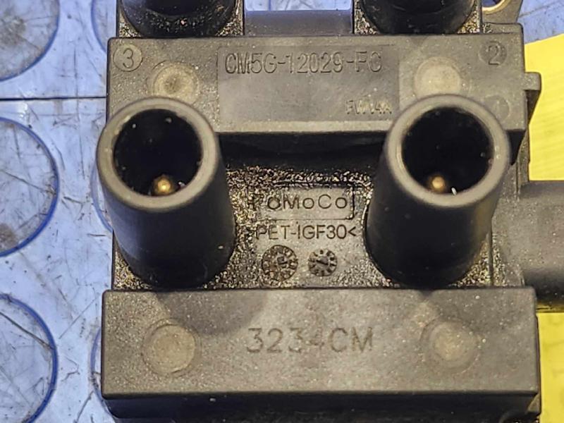 2014 Ford Fiesta Ignition Coil/Ignitor