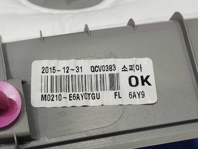 2016 Hyundai Sonata Front Door Trim Panel