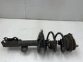 2010 Toyota RAV4 Strut Assembly