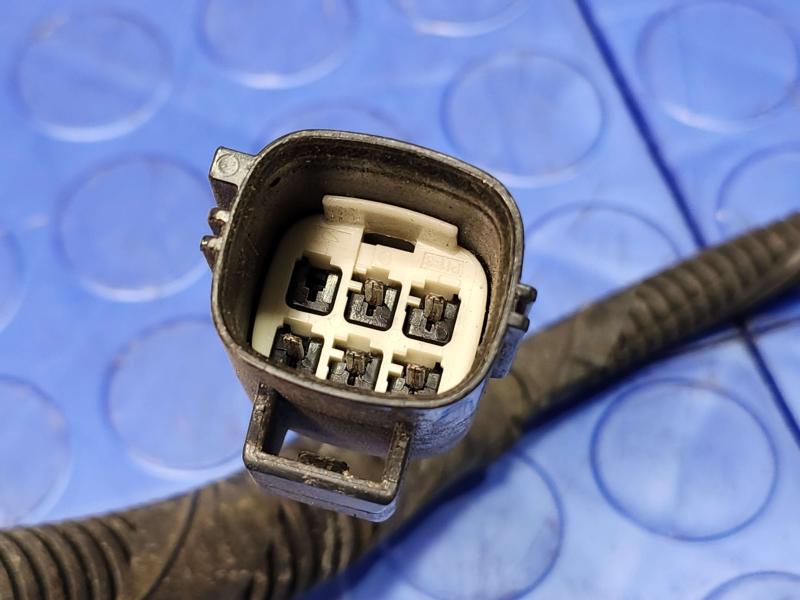 2014 Ford Focus Wire Harness (Misc)