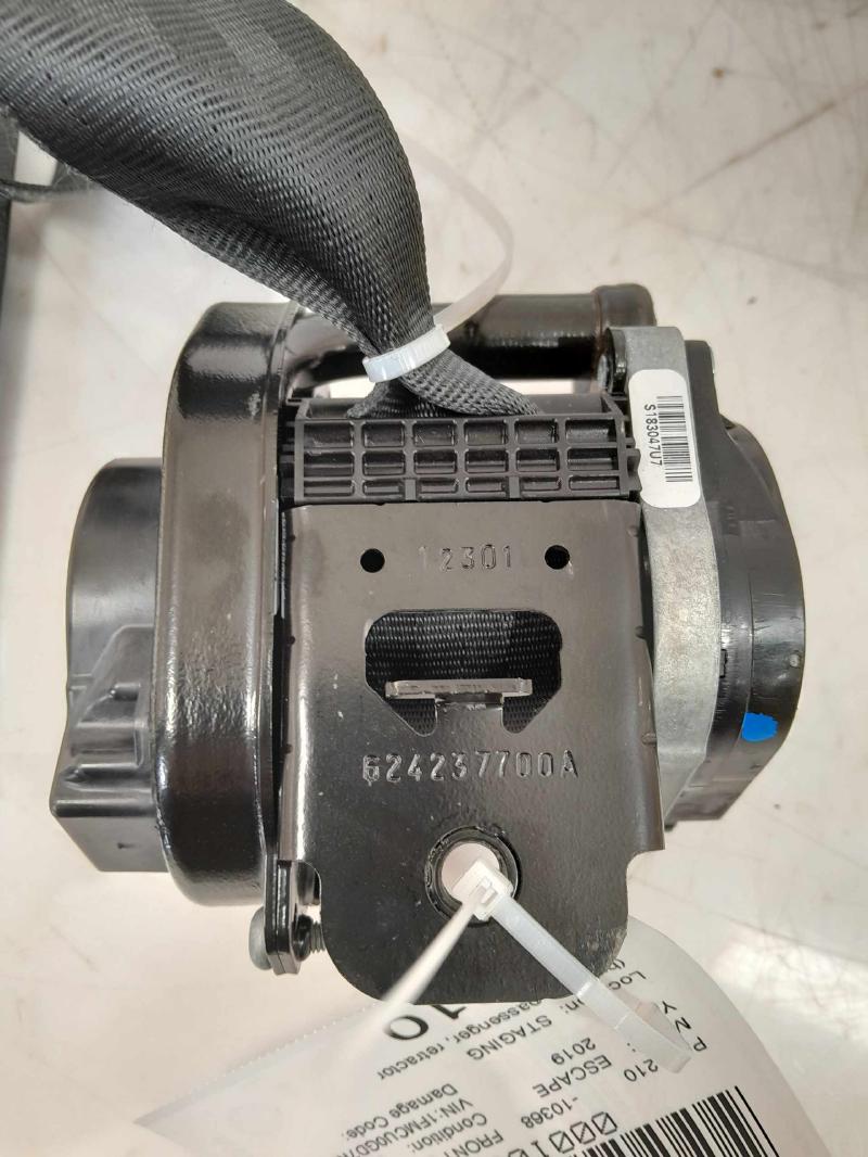 2019 Ford Escape Front Seat Belt