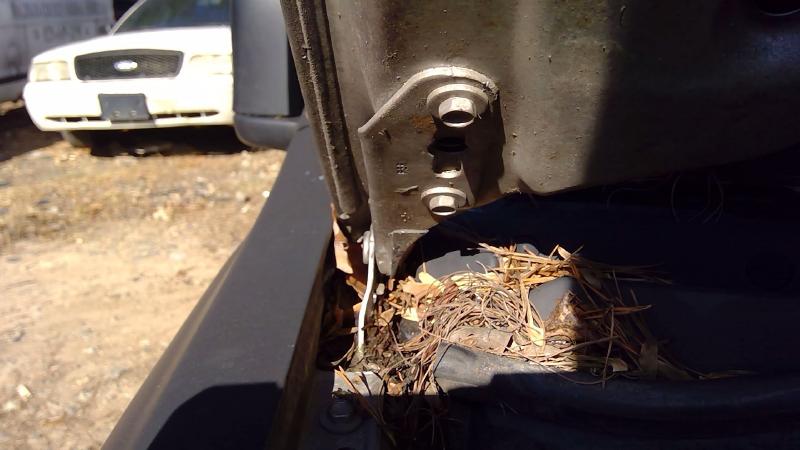 1997 - 2001 Honda CRV Hood Hinge LH Driver Side OEM 60170ST0000ZZ