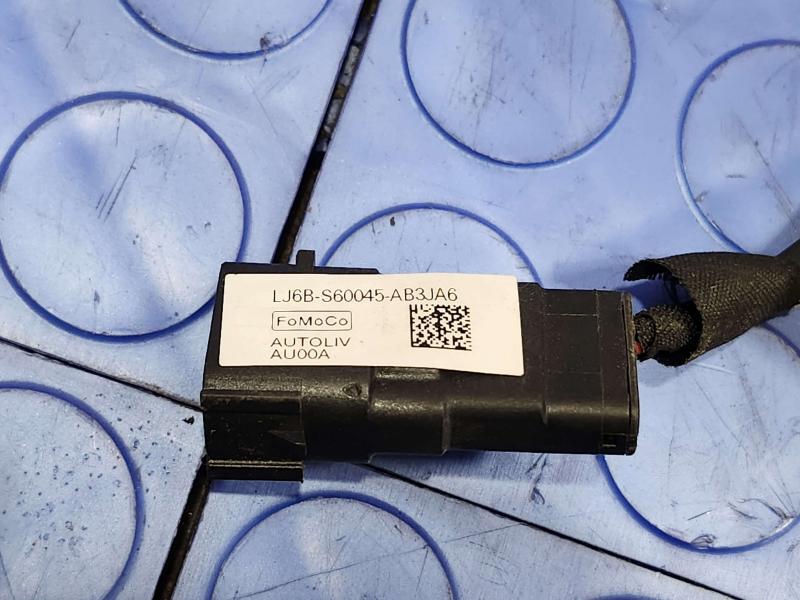 2020 Ford Escape Rear Seat Belt
