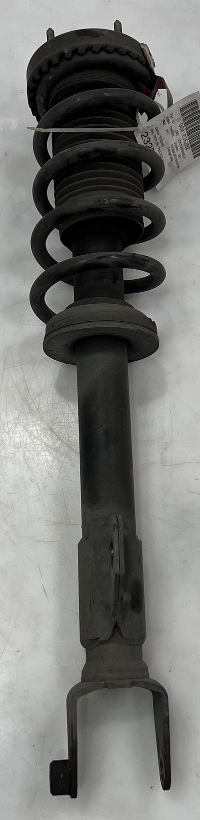 2011 Dodge Charger Strut Assembly