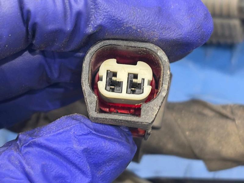 2020 Dodge Charger Wire Harness (Engine)