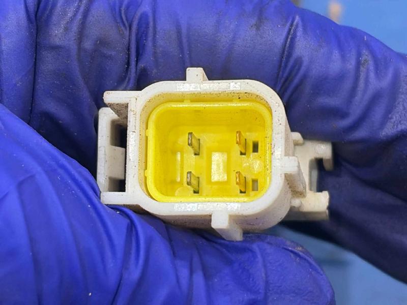 2020 Dodge Charger Wire Harness (Engine)