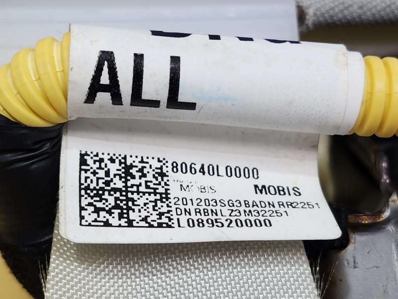2021 Hyundai Sonata Air Bag