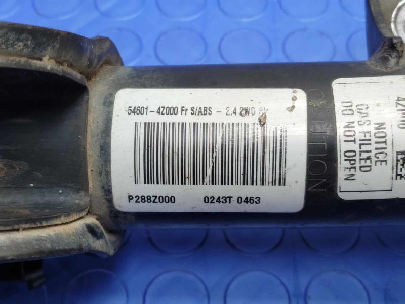 2013 Hyundai Santa Fe Strut Assembly