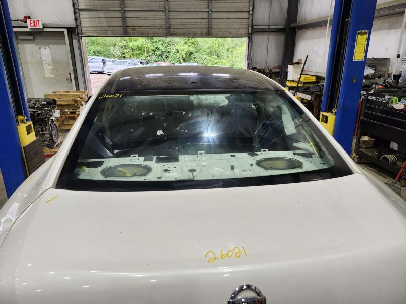 2014 Nissan Maxima Back Glass/Window
