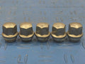 2020 Dodge Charger Lug Nuts