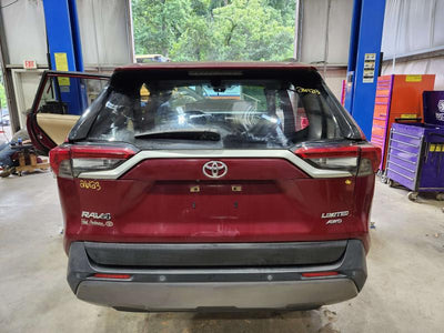 2020 Toyota RAV4 Trunk/Decklid/Hatch/Tailgate
