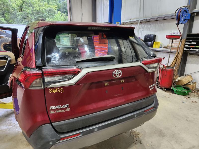 2020 Toyota RAV4 Trunk/Decklid/Hatch/Tailgate