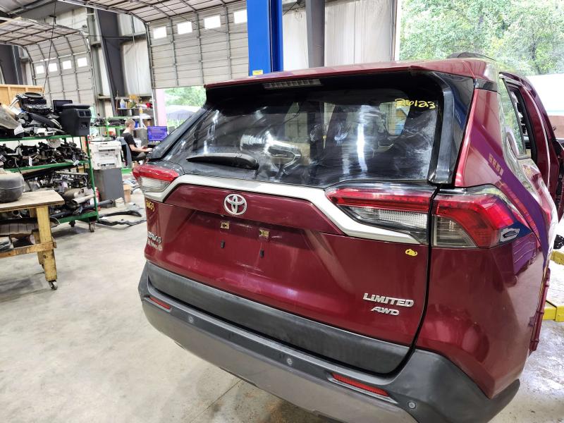 2020 Toyota RAV4 Trunk/Decklid/Hatch/Tailgate
