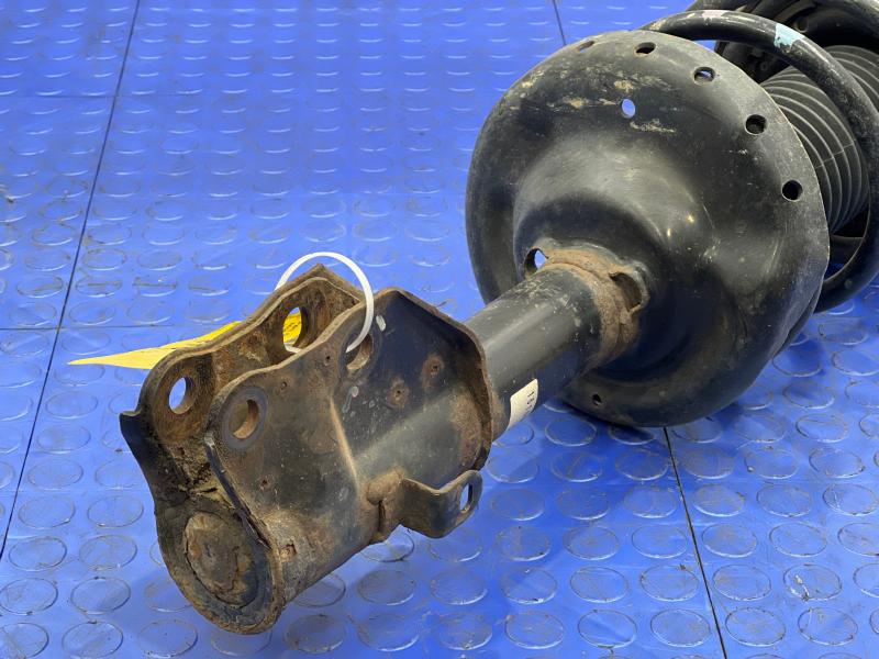 2016 Subaru Forester Strut Assembly