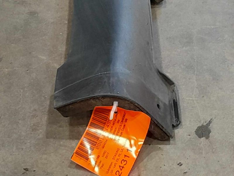 2017 Kia Niro Rocker Moulding