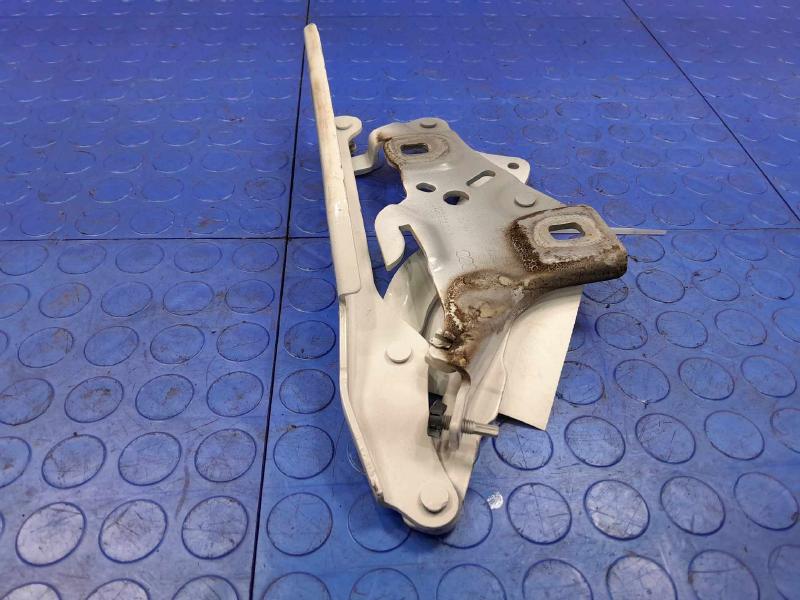 2018 Audi A4 Hood Hinge