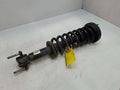 2016 Ford F-150 Strut Assembly