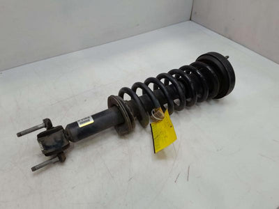 2016 Ford F-150 Strut Assembly