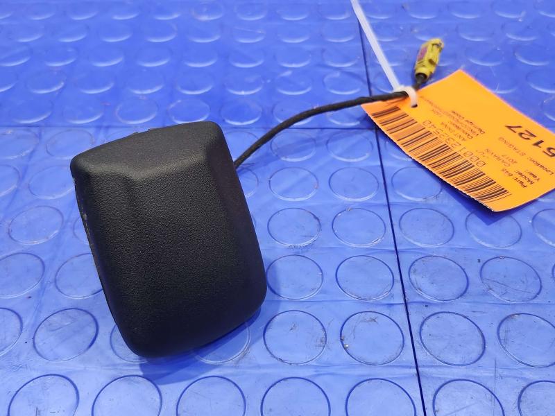 2017 Dodge Grand Caravan Antenna