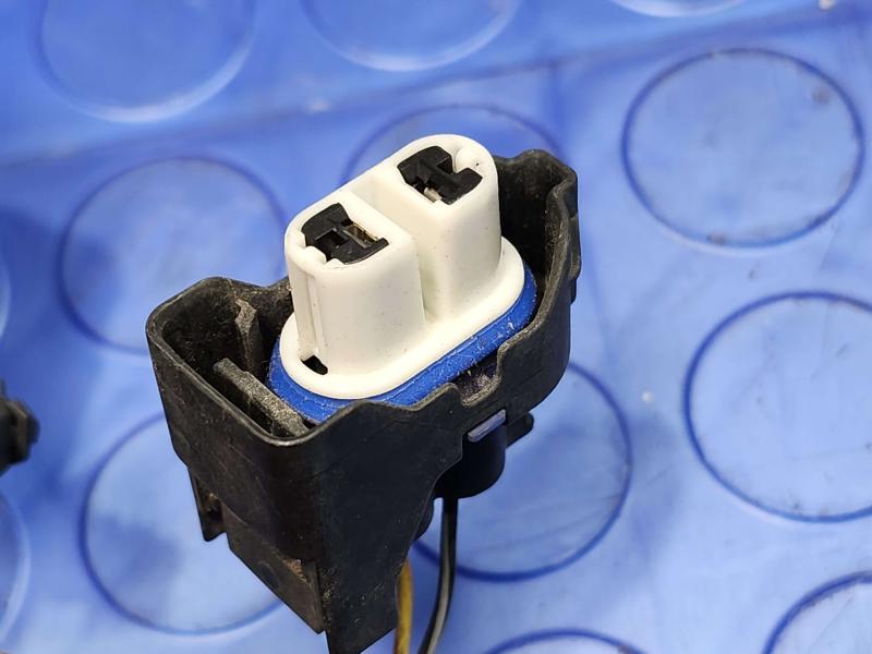 2020 Ford Escape Wire Harness (Misc)