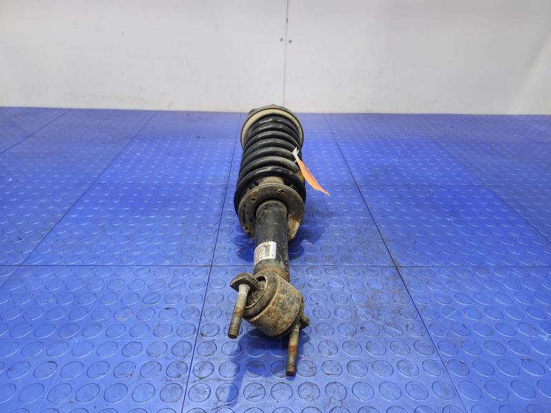 2015 Ford F-150 Strut Assembly