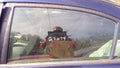 2008 Honda Civic Rear Door Glass/Window