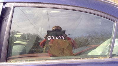 2008 Honda Civic Rear Door Glass/Window