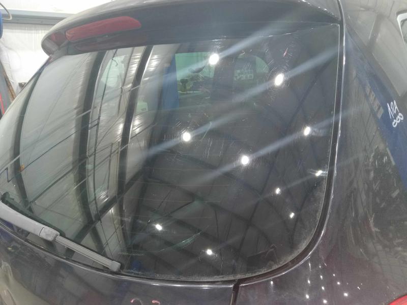 2009 Volkswagen Tiguan Back Glass/Window