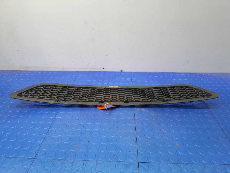 2011-2020 Dodge Journey Lower Bumper Grille Genuine OEM Part 55000808AB