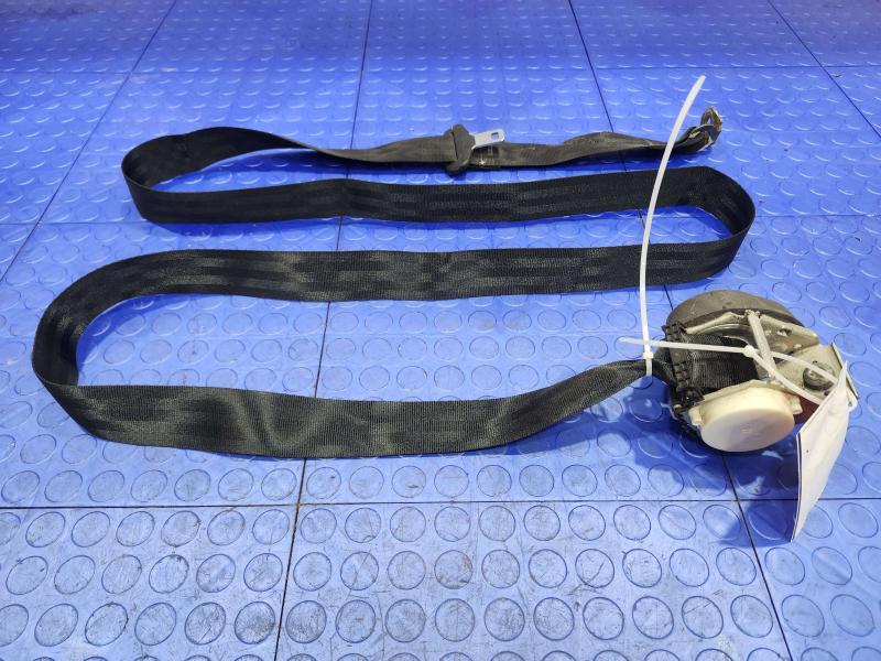 2017 Ford Focus Rear Seat Belt