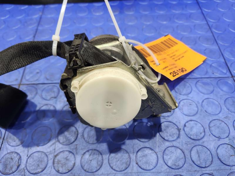 2017 Ford Focus Rear Seat Belt