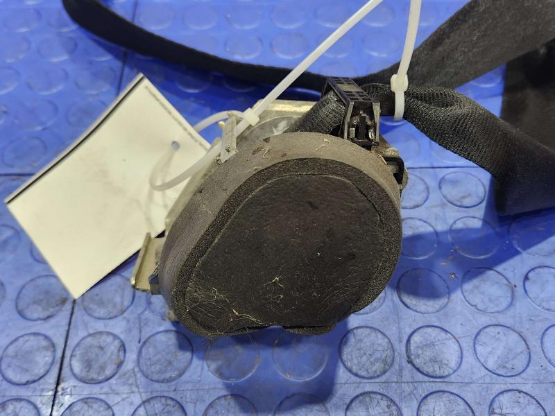 2017 Ford Focus Rear Seat Belt