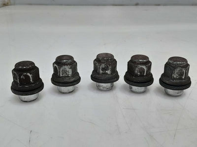 2009 Toyota RAV4 Lug Nuts