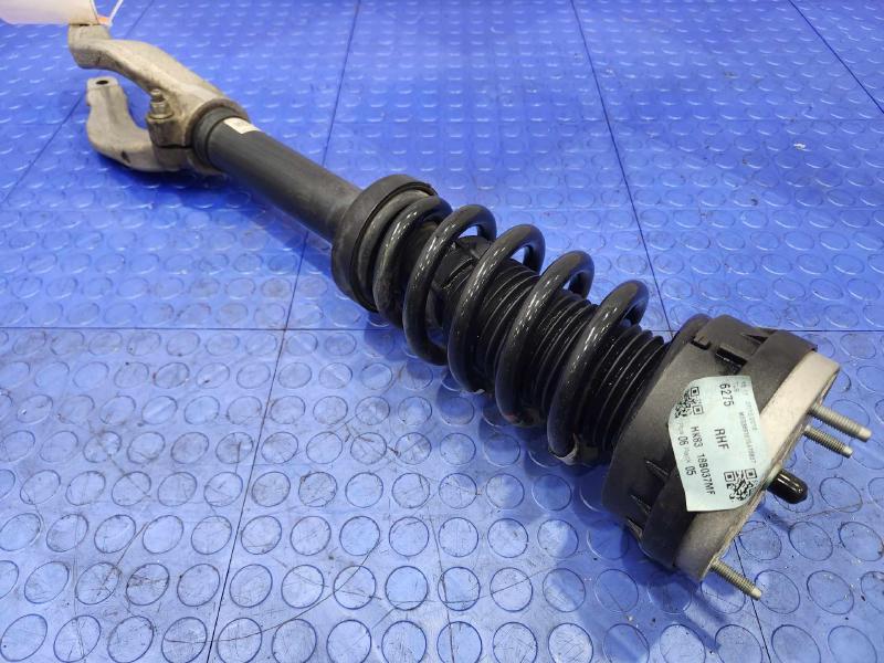 2019 Jaguar F-Pace Strut Assembly