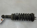 2001 Toyota Tundra Strut Assembly