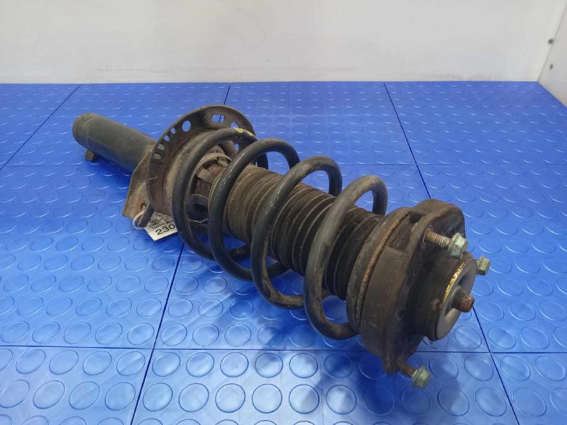 2006 Volkswagen Passat Strut Assembly