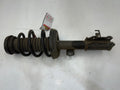 2012 Chevrolet Volt Strut Assembly