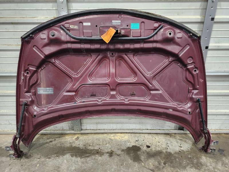 2009 Nissan Murano Hood