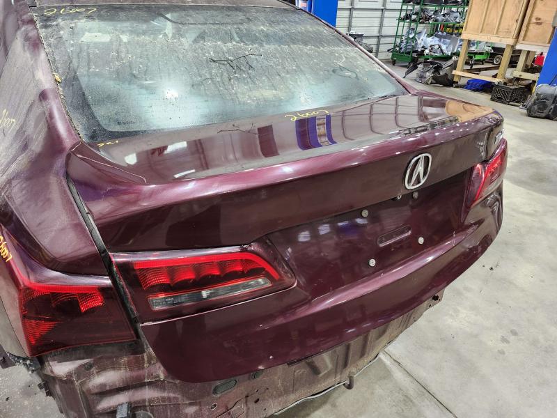 2015 Acura TLX Trunk/Decklid/Hatch/Tailgate