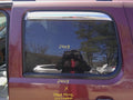 2008 Chevrolet Suburban Rear Door Glass/Window
