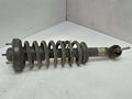 2016 Ford F-150 Strut Assembly
