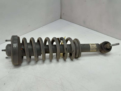 2016 Ford F-150 Strut Assembly