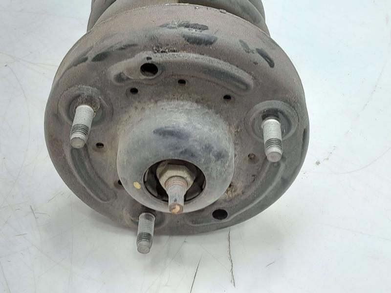 2016 Ford F-150 Strut Assembly