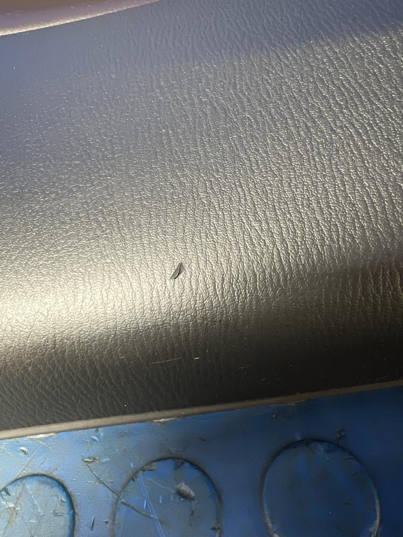 2017 Mazda Mazda3 Rear Door Trim Panel