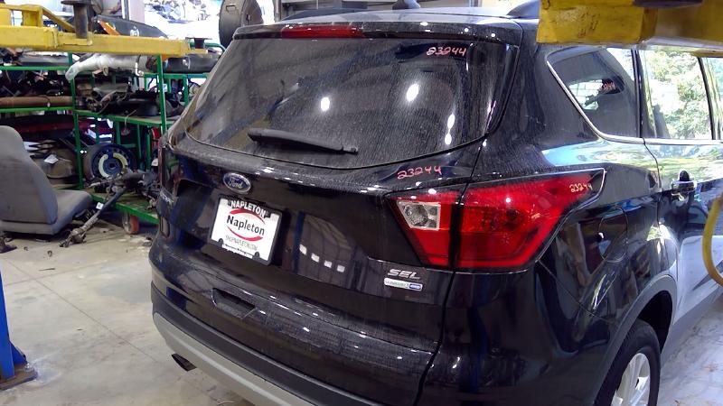 2019 Ford Escape Trunk/Decklid/Hatch/Tailgate