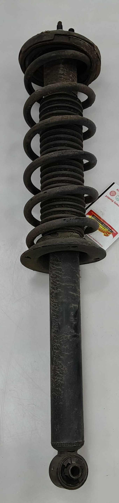 2006 Acura TL Strut Assembly