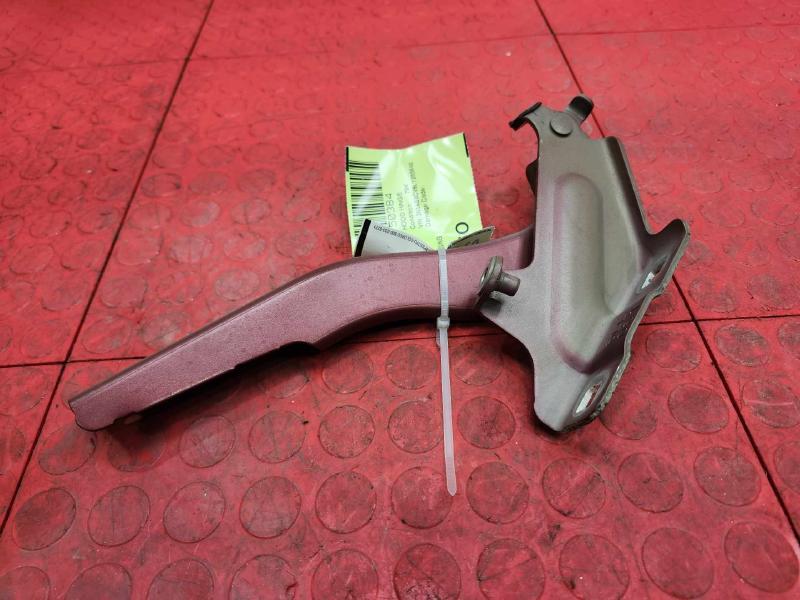 2020-2024 Nissan Sentra Hood Hinge Left Driver Side Genuine OEM 654016LB0A,LH