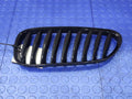2006 BMW Z4 Grille
